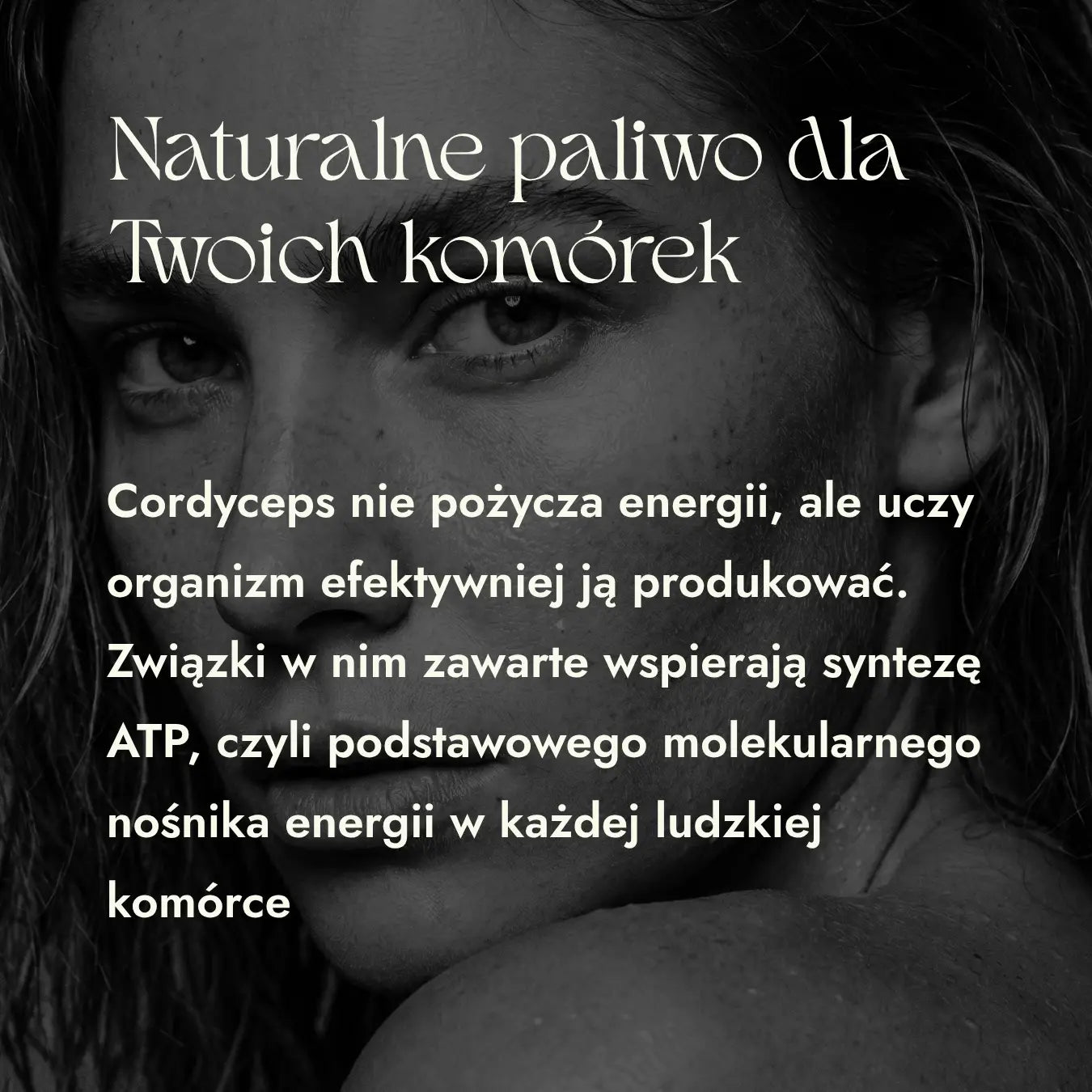 Cordyceps 50:1
