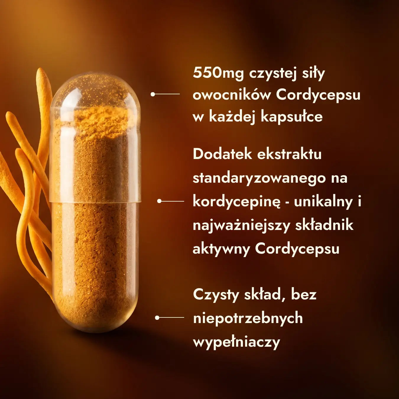 Cordyceps 50:1