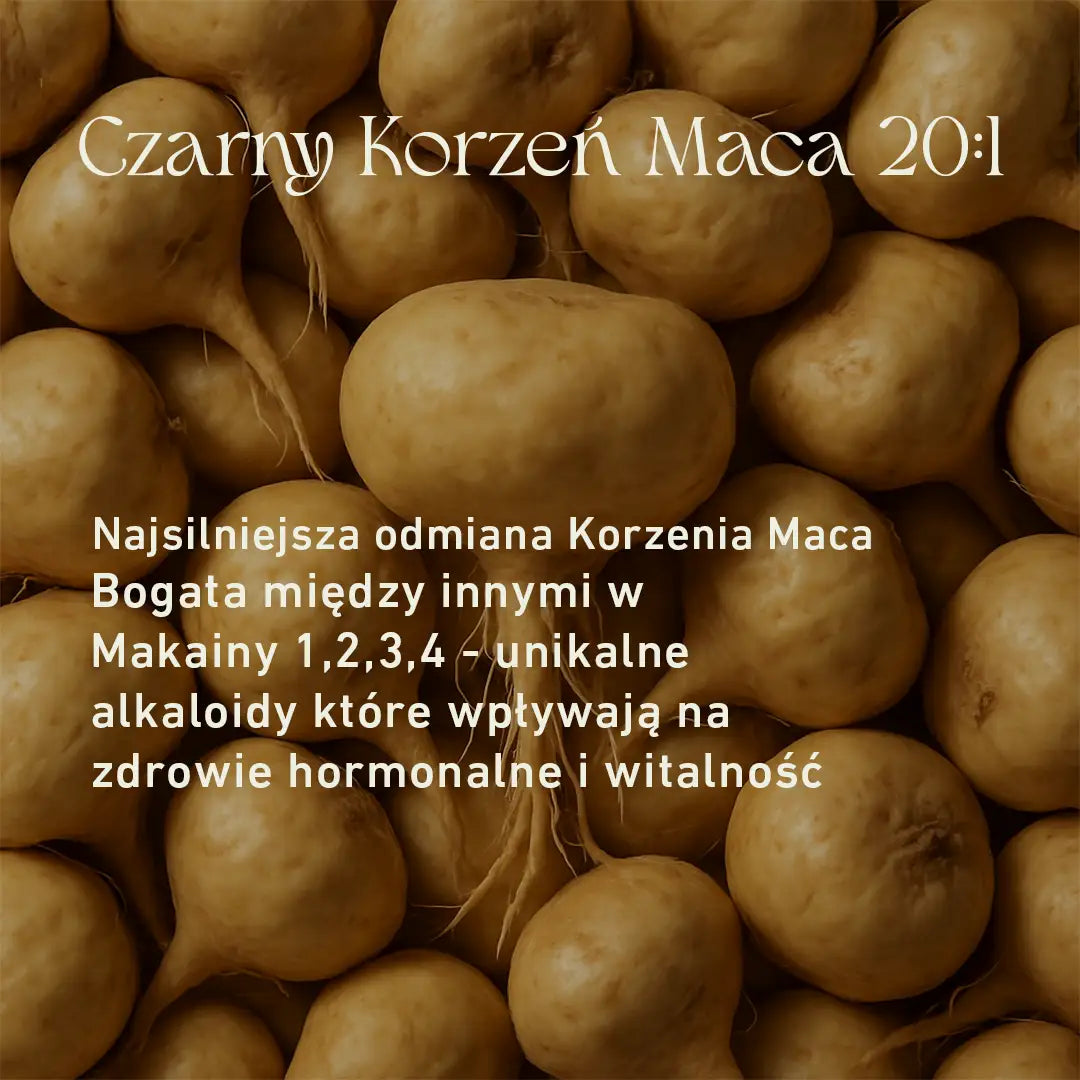 Black Maca 20:1