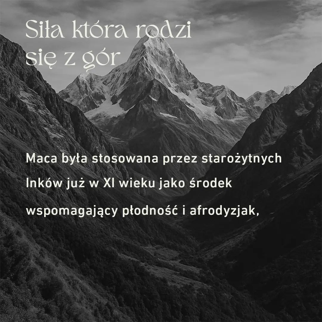 Black Maca 20:1