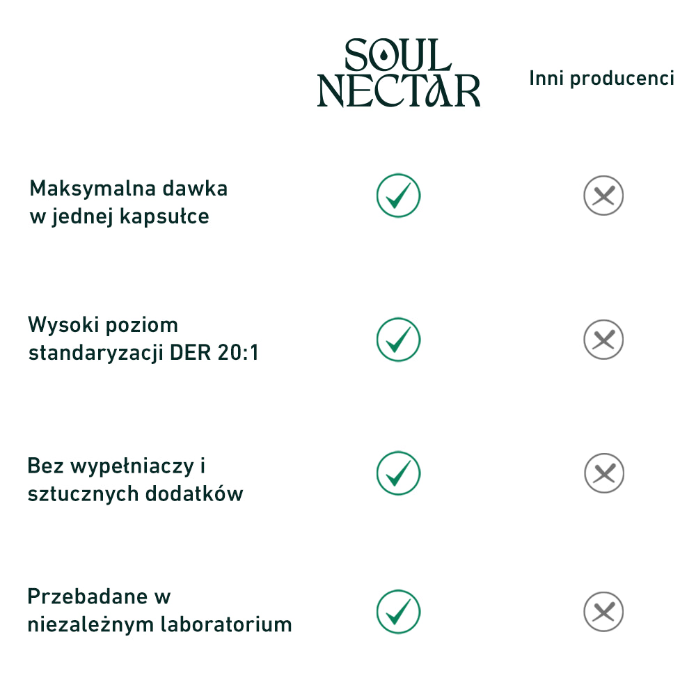 Schisandra 20:1